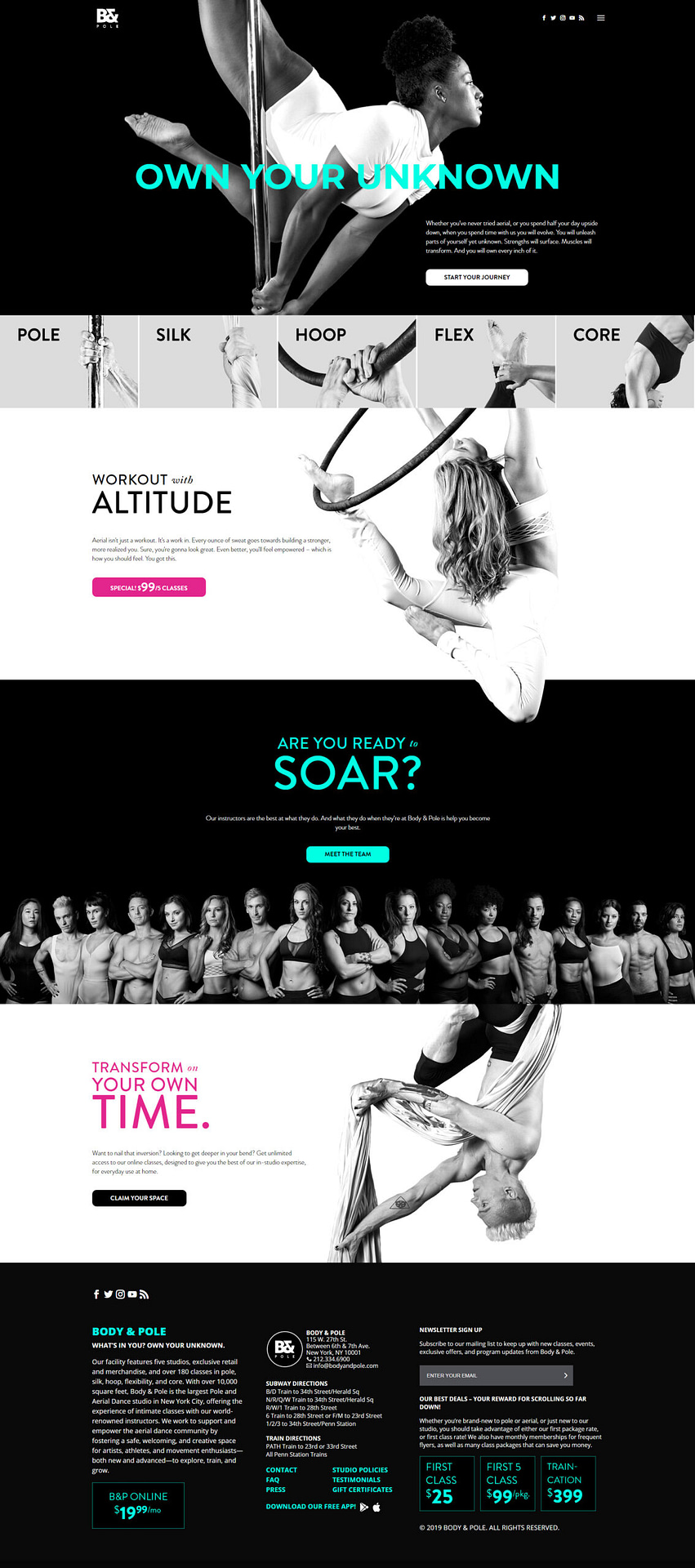 Body and Pole Homepage by NB Technologies